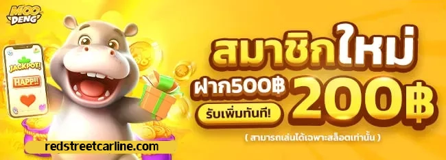 หมูเด้ง เว็บตรง บริการเยี่ยม แอดมินพร้อมดูแลตลอด 24 ชั่วโมง